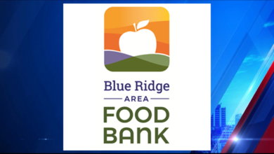 USDA and Blue Ridge Area Meals Lender assist feed youngsters by means of summer season months